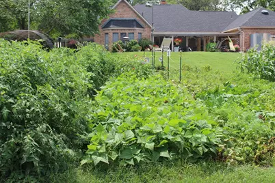 1119 Fm 2712, Crockett, TX 75835 - Photo 39