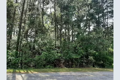 277 Rio Grande Drive, Trinity, TX 75862 - Photo 27