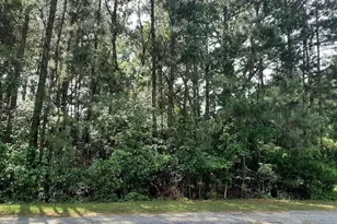 277 Rio Grande Dr, Trinity, TX 75862 - Photo 27