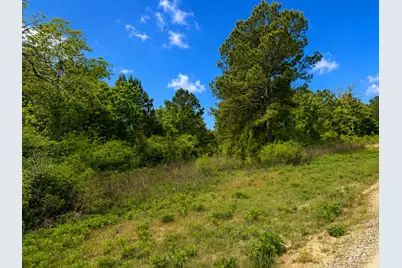 Lot 14 Cr 114, Centerville, TX 75833 - Photo 3