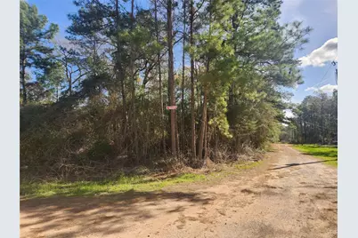 Lot 2 Live Oak Drive, Plantersville, TX 77363 - Photo 9