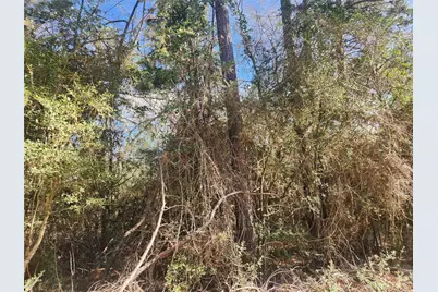 Lot 2 Live Oak Drive, Plantersville, TX 77363 - Photo 13