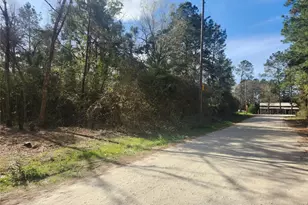 Lot 2 Live Oak Dr, Plantersville, TX 77363 - Photo 1