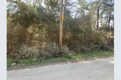 Lot 2 Live Oak Drive, Plantersville, TX 77363 - Photo 15