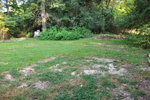 16 Connor Ln, Huntsville, TX 77320 - Photo 29