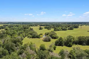 7808 Oxford Cemetery Rd, Madisonville, TX 77864 - Photo 15