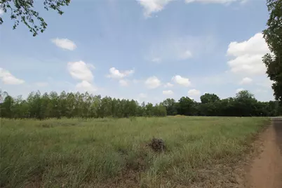 Lots 1-5 Washington Street, Hempstead, TX 77445 - Photo 1