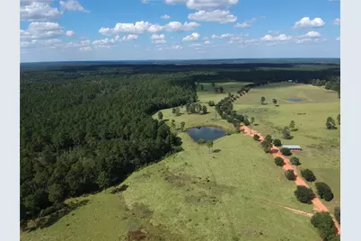 Tbd Lakeland Ranch Lot 277, Hillister, TX 77624 - Photo 9