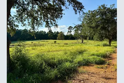 Tbd Lakeland Ranch Lot 277, Hillister, TX 77624 - Photo 3
