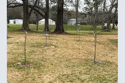 101 Vickie Lane, Shepherd, TX 77371 - Photo 17