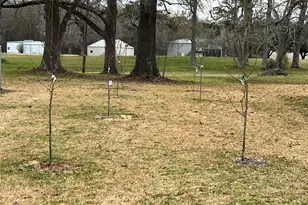 101 Vickie Ln, Shepherd, TX 77371 - Photo 17