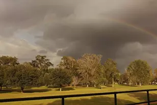 101 Vickie Ln, Shepherd, TX 77371 - Photo 23