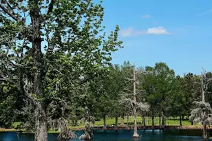 101 Vickie Ln, Shepherd, TX 77371 - Photo 19