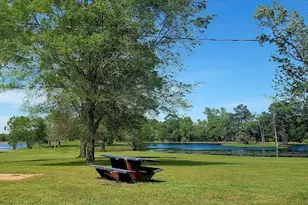 101 Vickie Ln, Shepherd, TX 77371 - Photo 21