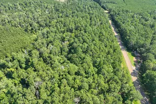 3 Hwy 87, Milam, TX 75959 - Photo 1