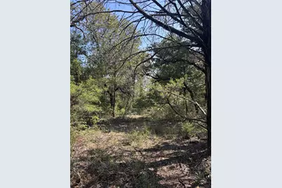 667 Paint Creek South Road, Paige, TX 78659 - Photo 13