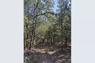 667 Paint Creek South Road, Paige, TX 78659 - Photo 11