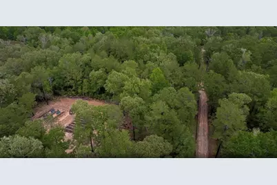 23514 Saratoga Woods Parcel A Drive, Montgomery, TX 77316 - Photo 15