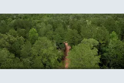 23514 Saratoga Woods Parcel A Drive, Montgomery, TX 77316 - Photo 7