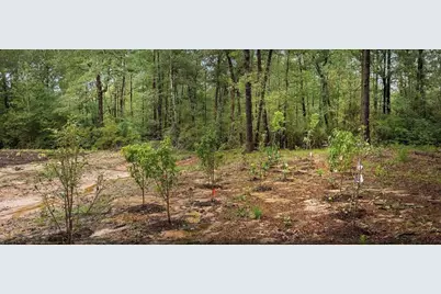23514 Saratoga Woods Parcel A Drive, Montgomery, TX 77316 - Photo 13
