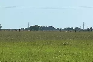 00 County Road 307, El Campo, TX 77437 - Photo 5