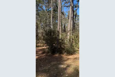 15901 Butera Road, Magnolia, TX 77355 - Photo 3