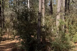 15901 Butera Rd, Magnolia, TX 77355 - Photo 3