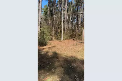 15901 Butera Road, Magnolia, TX 77355 - Photo 5