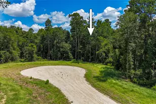 110 Romantic Dreams Ct, New Waverly, TX 77358 - Photo 1