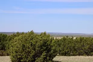 Tbd Lampasas Burnet Rd, Lampasas, TX 76550 - Photo 31