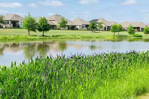 7727 Cattail Shallows Ln, Katy, TX 77493 - Photo 45