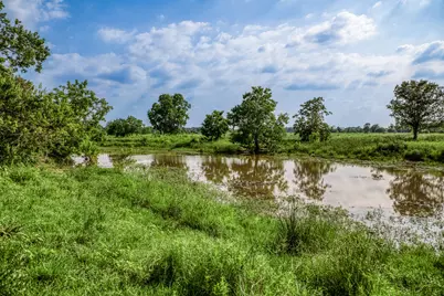 0000 Schmidt Road, Waller, TX 77484 - Photo 11