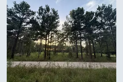 120 Pioneer Trail, Livingston, TX 77351 - Photo 5