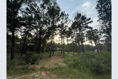 120 Pioneer Trail, Livingston, TX 77351 - Photo 3