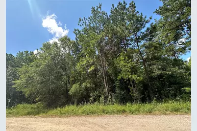 120 Pioneer Trail, Livingston, TX 77351 - Photo 3