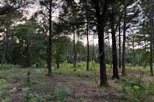 120 Pioneer Trail, Livingston, TX 77351 - Photo 1