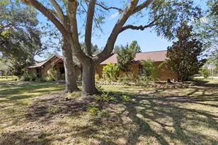 4114 Horseshoe Dr, Pleak, TX 77461 - Photo 1