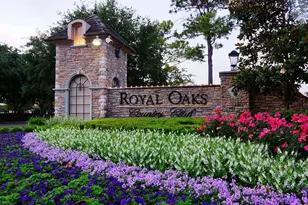 11623 Royal Oaks Crossing, Houston, TX 77082 - Photo 17