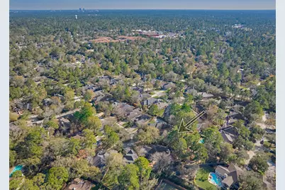 87 W Honey Grove Place, The Woodlands, TX 77382 - Photo 41