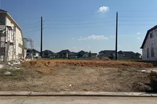 2513 Gleaming Pear Dr, Manvel, TX 77578 - Photo 5