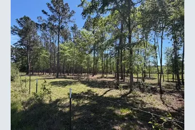4335 Fm 1374 Road, Huntsville, TX 77340 - Photo 9