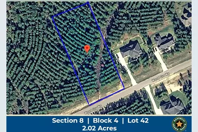 15492 Wood Grove Way, Willis, TX 77378 - Photo 1