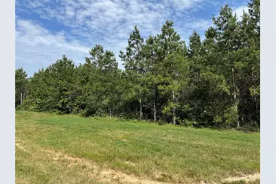 15492 Wood Grove Way, Willis, TX 77378 - Photo 5