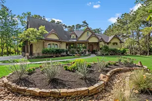 28110 Whispering Maple Way, Spring, TX 77386 - Photo 3