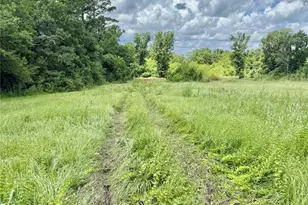 16981 N Hwy 146 Hwy N, Liberty, TX 77575 - Photo 5