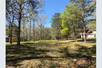 1300 Cherry Creek Drive, Shepherd, TX 77371 - Photo 5