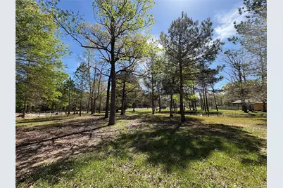 1300 Cherry Creek Drive, Shepherd, TX 77371 - Photo 21