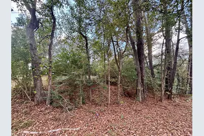 10663 Royal Campbell Drive, Conroe, TX 77303 - Photo 7