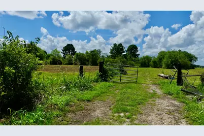7806 McKeever Road, Pearland, TX 77584 - Photo 5