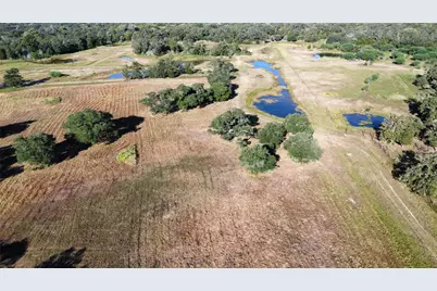 1044 Transeau Lane, Columbus, TX 78934 - Photo 5